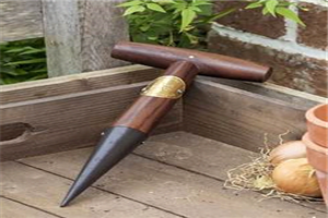 Best Garden Dibber For Planting Bulbs