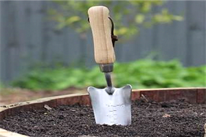 Best Garden Transplanter Tool
