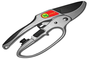 Best Hand Pruners For Thick Branches