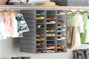 Best Hanging Closet Organizer For Shoes