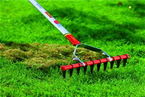 Best Lawn Dethatching Rake
