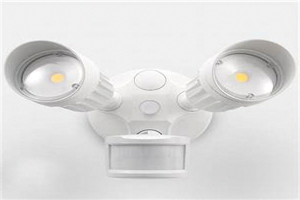 Best Motion Detector Light For Yard
