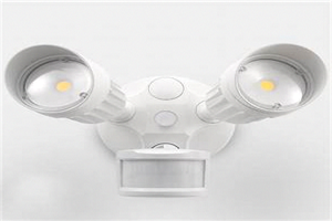 Best Motion Sensor For Backyard