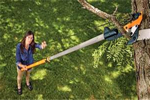 Best Pole Saw For Pruning Tall Trees