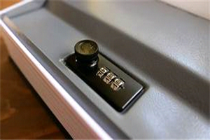 Best Portable Safe For Travel