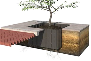 Best Root Barrier For Garden