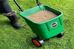 Best Seed Spreader For Lawn Care