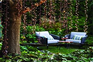 Best String Lights For Trees