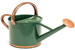 Best Watering Can For Small Garden